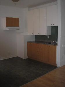 Hochelaga Maisonneuve  3 1/2 à louer 1er juillet 955$ - Photo 4