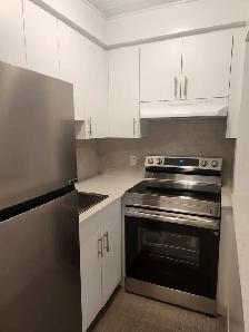 Beautiful Renovated Apartment for IMMEDIATE MOVE IN - Photo 3