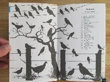 PETERSON FIELD GUIDES - EASTERN BIRDS - 1980 - Photo 2