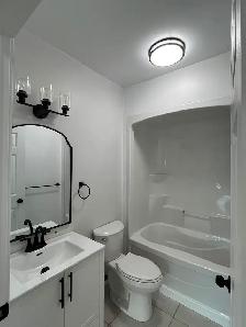 MOVE IN READY TOTALLY RENOVATED 5 BDM 3 BATH FINISHED BASEMENT - Photo 6