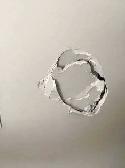 drywall repair and painting 4034311925 - Photo 9