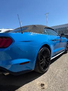 2023 Ford Mustang Gt Premium - Photo 5