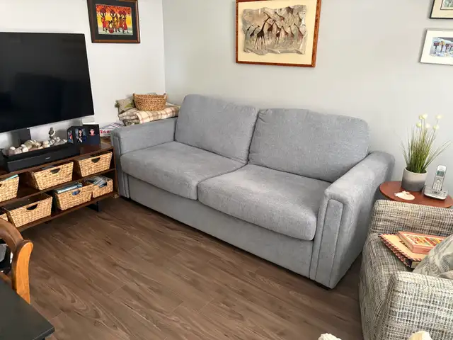 Queen Size Sofa Bed.  Canadian made by Superstyle