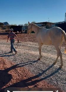 2024 AQHA "GT Frenchman’s Hope" - Photo 7