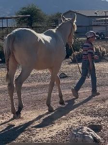 2024 AQHA "GT Frenchman’s Hope" - Photo 8