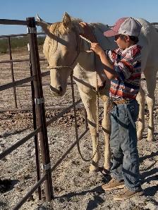 2024 AQHA "GT Frenchman’s Hope" - Photo 9