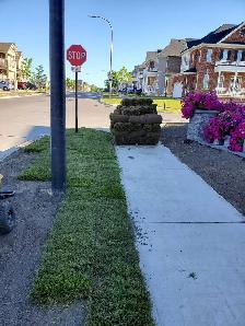 Affordable Lawn and Garden Services - Photo 4