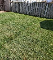 Affordable Lawn and Garden Services - Photo 9