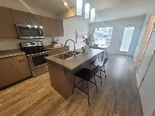 3 Beds & 2.5 Baths Main Floor of House in North Park Area - Photo 4
