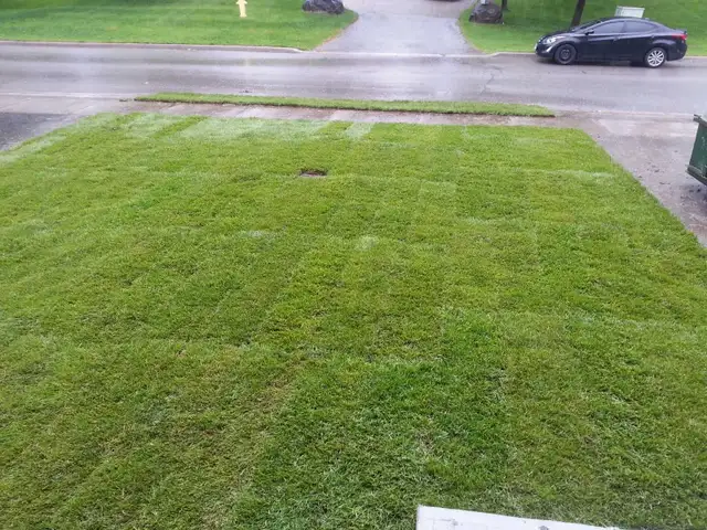Quality lawn care Services