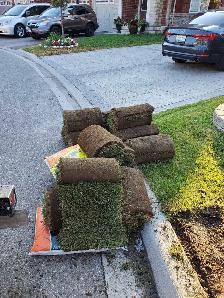 Quality lawn care Services - Photo 3