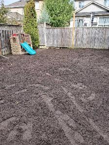 Quality lawn care Services - Photo 4