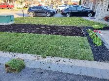 Quality lawn care Services - Photo 7