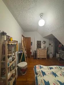 Bright Spacious 4 Bdrm duplex in Annex by Dupont subway - Photo 7