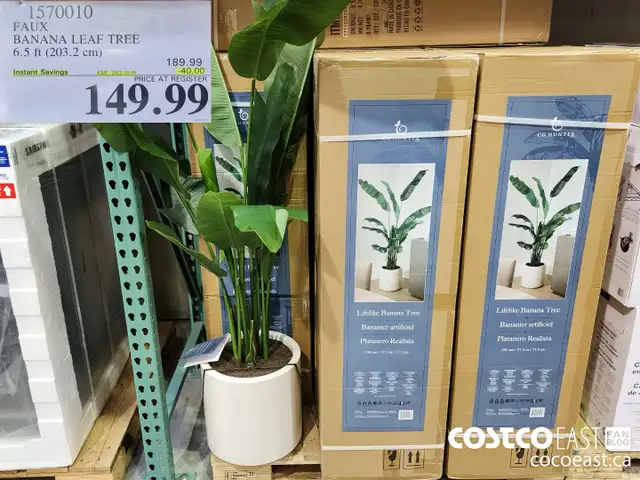 Costco Lifelike Banana Tree (brand new)