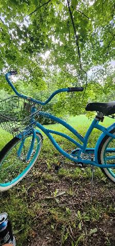 Beach Cruiser Very Good Condition Bike - Photo 2