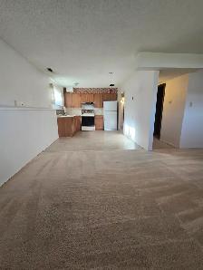 INGLEWOOD 2 BEDROOM LOWER SUITE LARGE WINDOWS - Photo 2