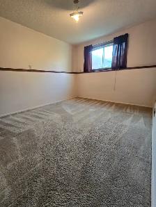INGLEWOOD 2 BEDROOM LOWER SUITE LARGE WINDOWS - Photo 5