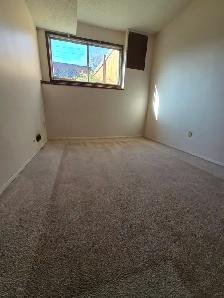 INGLEWOOD 2 BEDROOM LOWER SUITE LARGE WINDOWS - Photo 6