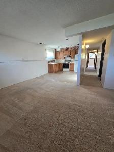 INGLEWOOD 2 BEDROOM LOWER SUITE LARGE WINDOWS - Photo 8