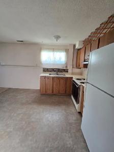 INGLEWOOD 2 BEDROOM LOWER SUITE LARGE WINDOWS - Photo 9