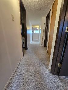 INGLEWOOD 2 BEDROOM LOWER SUITE LARGE WINDOWS - Photo 10