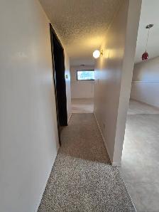 INGLEWOOD 2 BEDROOM LOWER SUITE LARGE WINDOWS - Photo 12