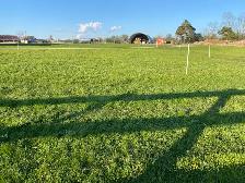 outdoor activity - Photo 3