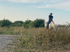 outdoor activity - Photo 6