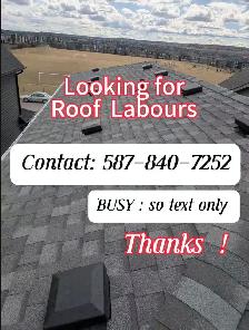 looking for roof labours