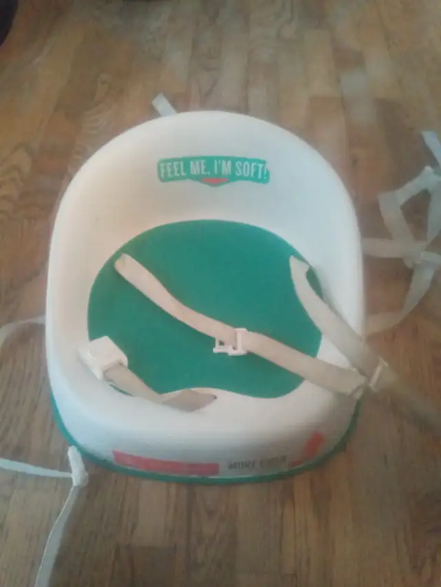 Baby/toddler seat for any chair