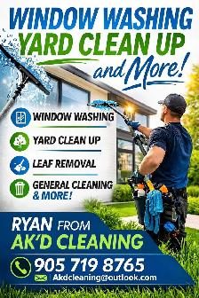 WINDOW CLEANING