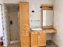 Très beau 4 1/2 à louer dans un bloc moderne à Terrebonne - Photo 6