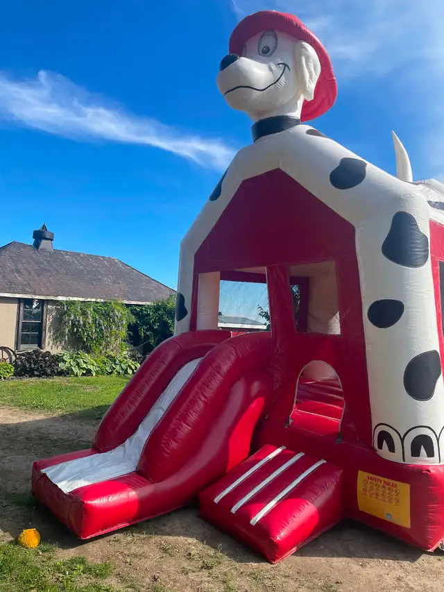 Bouncy castle (large)