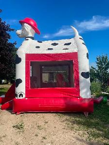 Bouncy castle (large) - Photo 2