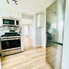 1-Bedroom Renovated Bachelor or Couple Home for Rent in Suffield - Photo 4