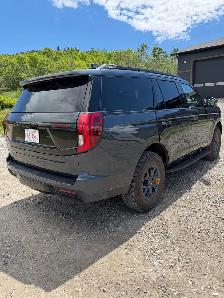Ford Expedition Tremor - Photo 3