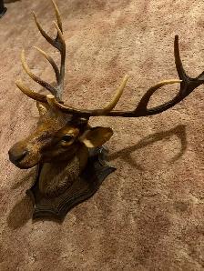Faux Deer Head Wall Mount - Photo 3