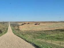 Harvest Help NEEDED. Full time or Seasonal position - Photo 4
