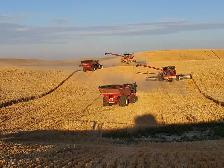Harvest Help NEEDED. Full time or Seasonal position - Photo 5