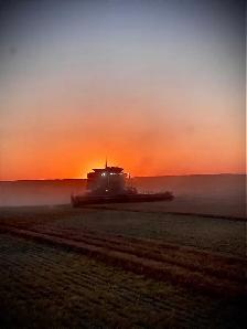 Harvest Help NEEDED. Full time or Seasonal position - Photo 6