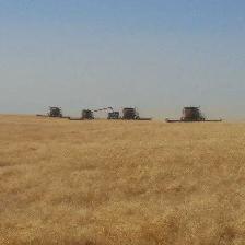 Harvest Help NEEDED. Full time or Seasonal position - Photo 7