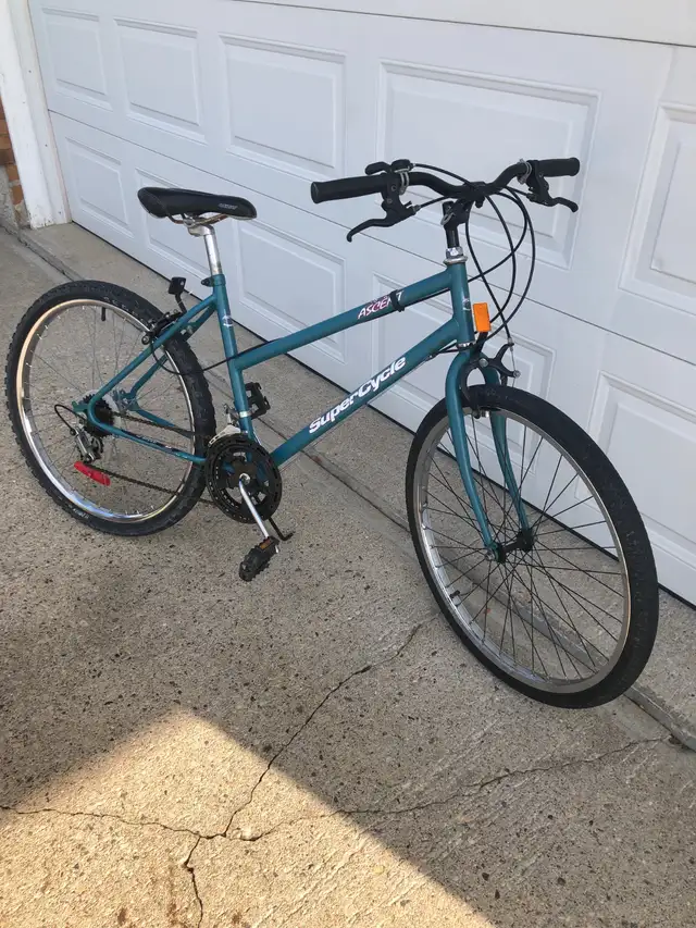 MOUNTAIN BIKE