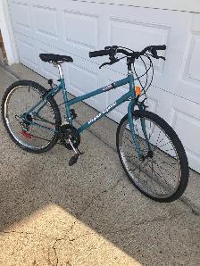 MOUNTAIN BIKE