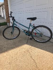 MOUNTAIN BIKE - Photo 3
