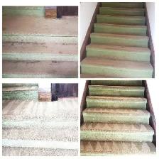 The Fresh Home Carpet.Couch,Upholstery_Cleaning - Photo 2