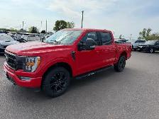 2021 Ford F-150 - Photo 3
