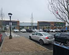 Professional Space Available for Rent