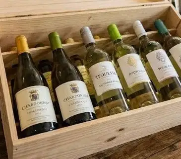 Free wine