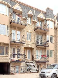 3 1/2 au 1253 Rue Wolfe - Downtown